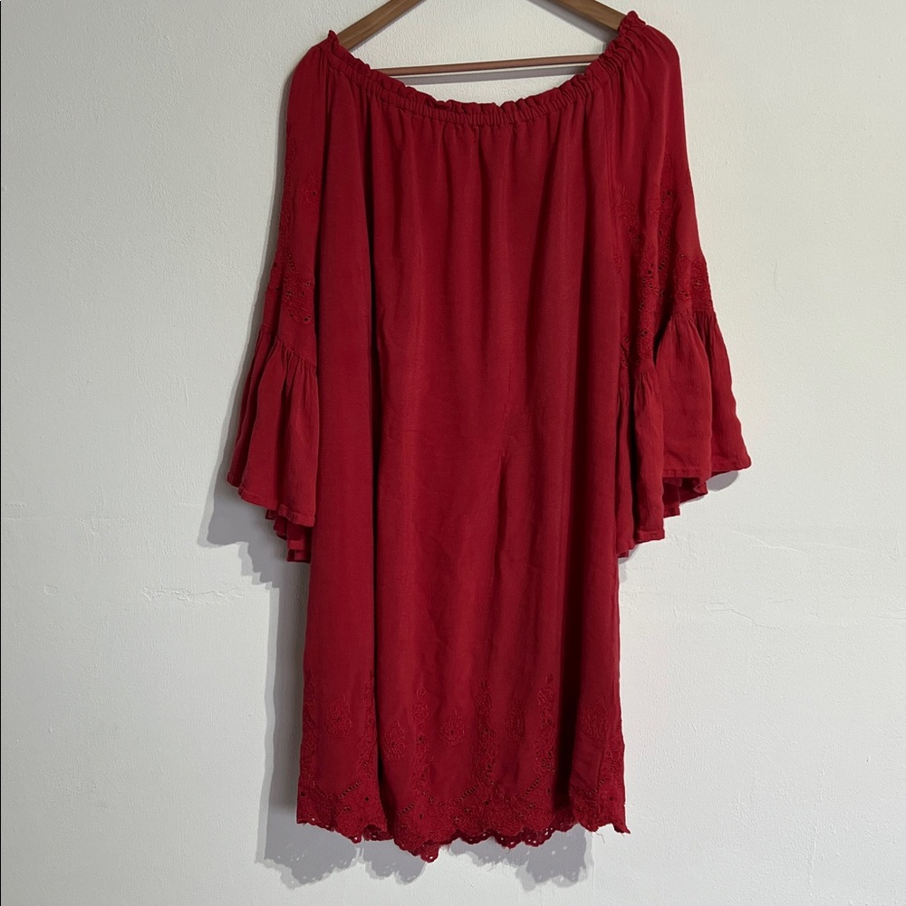 Rusty Red Ruffled Dress - Picture 4 of 4